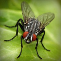 /album/creasmalcurdbunda/photolia-a01-jpg/