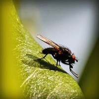 /album/creasmalcurdbunda/photolia-a04-jpg/