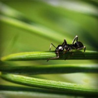 /album/creasmalcurdbunda/photolia-a05-jpg/