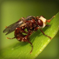 /album/creasmalcurdbunda/photolia-a06-jpg/