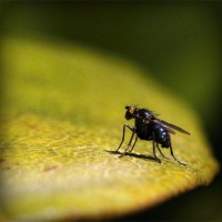 /album/creasmalcurdbunda/photolia-a07-jpg/